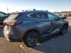2024 Lexus Nx 350 Premium   на продаже в Brookhaven, NY - All Over
