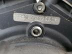 1999 HARLEY-DAVIDSON FLSTF  a la Venta en Copart MN - MINNEAPOLIS NORTH