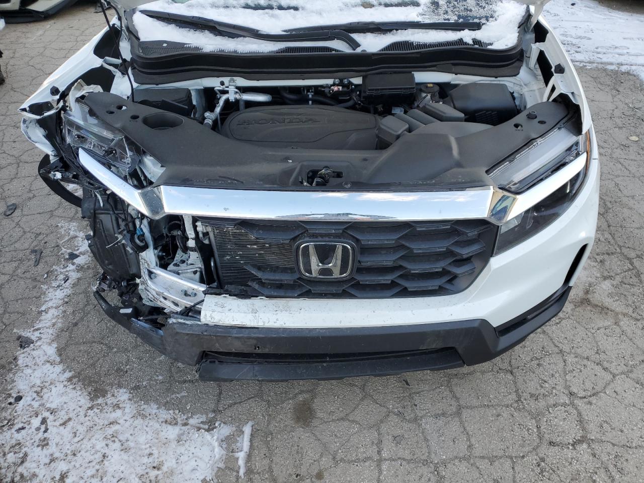 2024 Honda Passport - Image 13