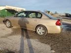 2007 Chevrolet Malibu Lt на продаже в Indianapolis, IN - Front End