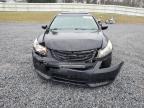 2011 Honda Accord Exl de vânzare în Gastonia, NC - Front End