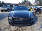 2013 Ford Mustang  for Sale in Mendon, MA - Rear End