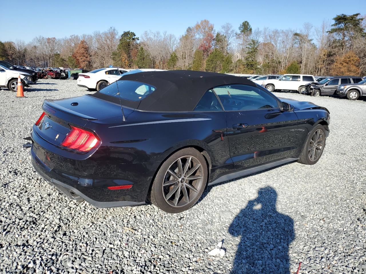 2019 Ford Mustang - Image 3
