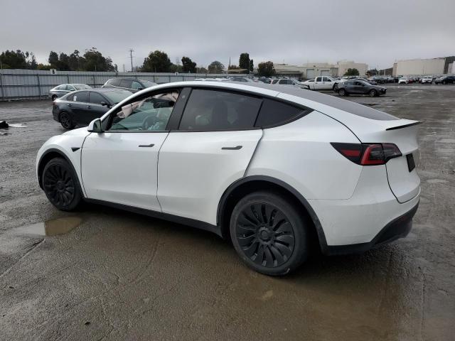  TESLA MODEL Y 2021 White