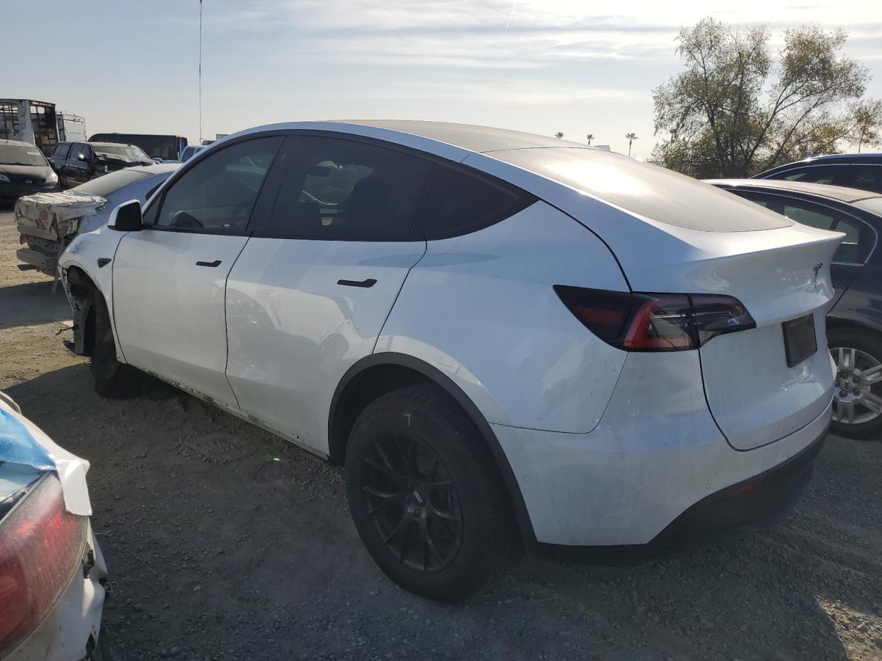 VIN 5YJYGDEE4MF087807 2021 TESLA MODEL Y no.2