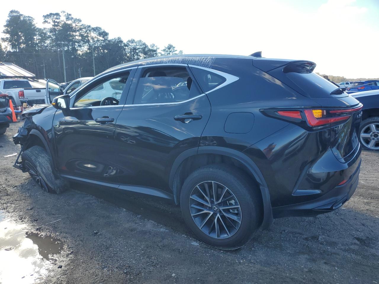 2024 Lexus NX - Image 2