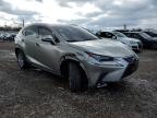 2021 Lexus Nx 300 Base на продаже в Hillsborough, NJ - Front End