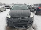 2014 FORD ESCAPE SE for sale at Copart ON - LONDON