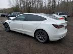 2020 TESLA MODEL 3    à vendre chez Copart ON - COOKSTOWN