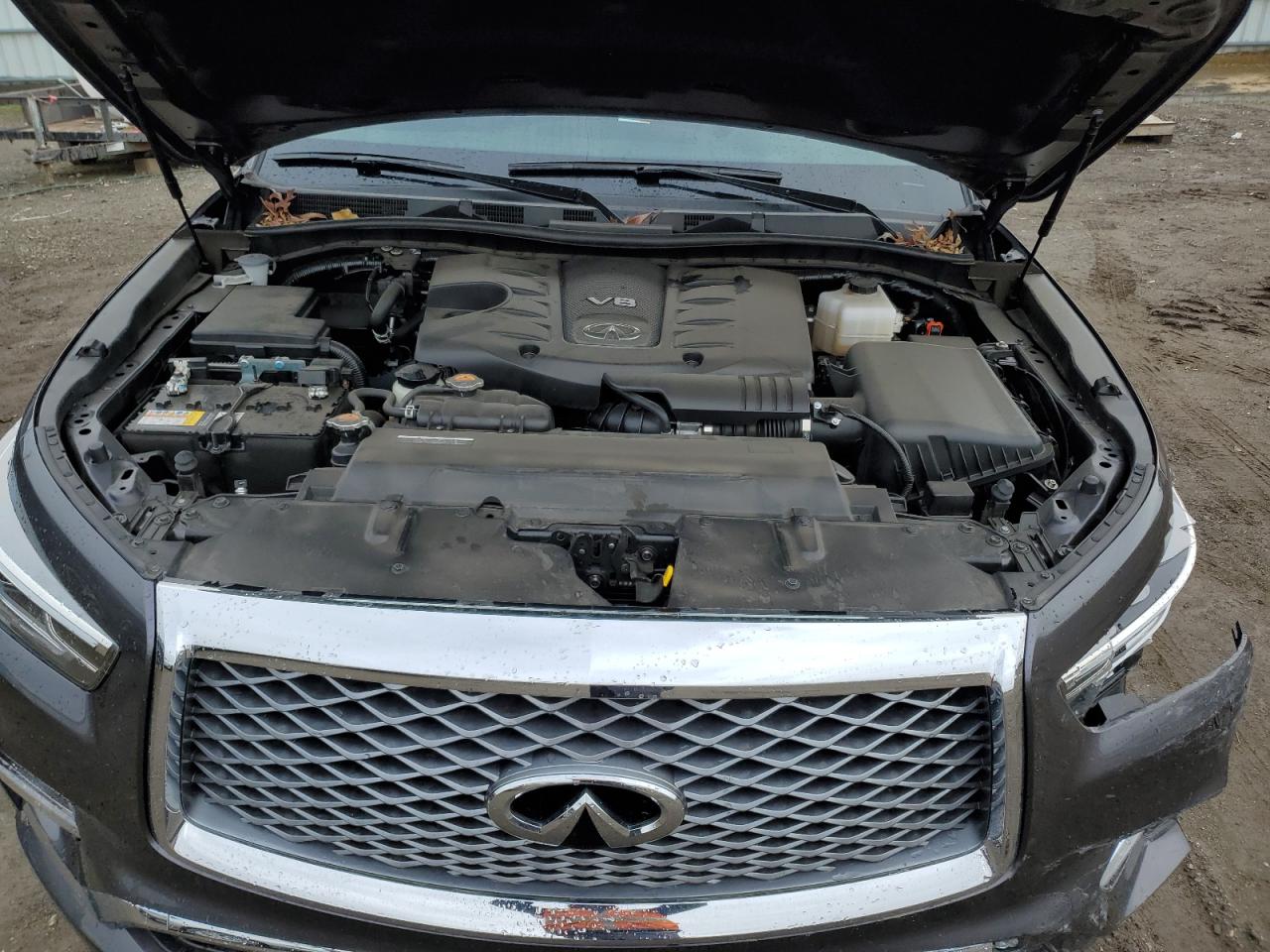 2024 Infiniti QX80 - Image 12