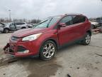 2015 Ford Escape Titanium na sprzedaż w Fort Wayne, IN - All Over