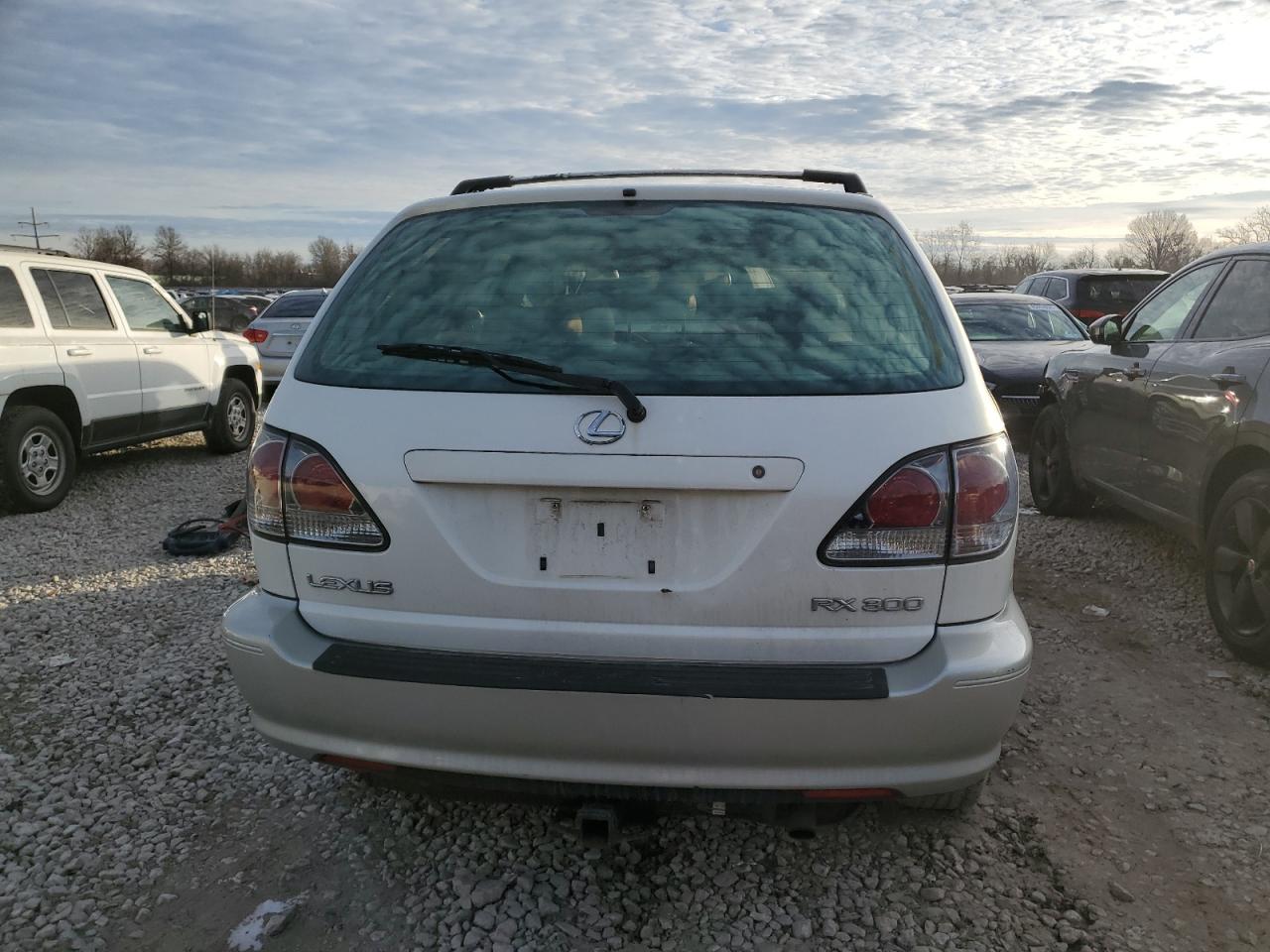 2001 Lexus Rx 300 VIN: JTJHF10U610231249 Lot: 86042884