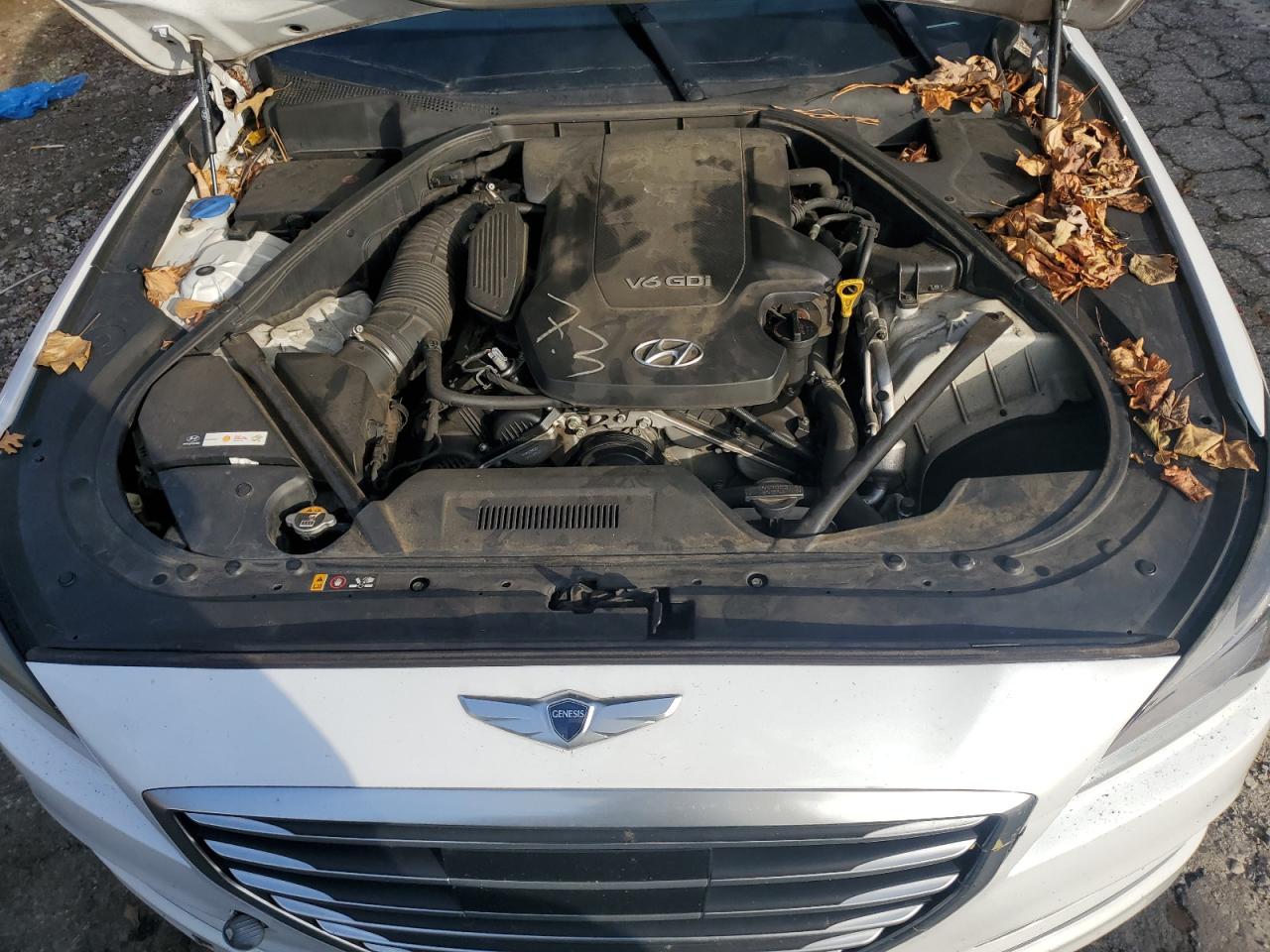 2016 Hyundai Genesis 3.8L VIN: KMHGN4JE5GU127861 Lot: 85051374