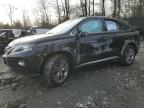 2013 Lexus Rx 450H للبيع في Waldorf، MD - All Over