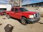 2005 Dodge Dakota Quad Slt en Venta en Albuquerque, NM - Front End