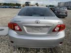 2010 Toyota Corolla Base zu verkaufen in Opa Locka, FL - Front End