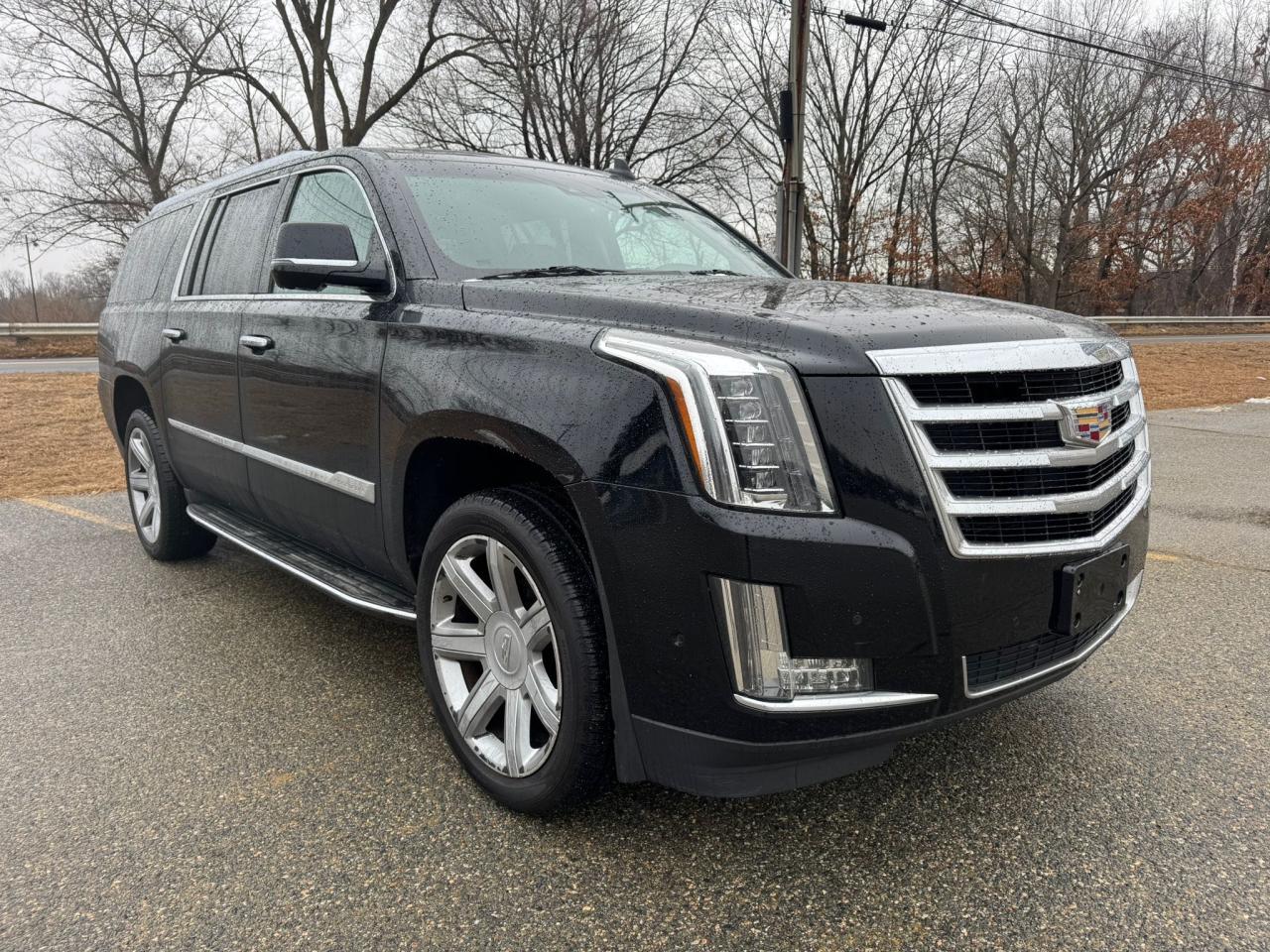 VIN 1GYS4HKJ9HR164141 2017 CADILLAC ESCALADE no.1