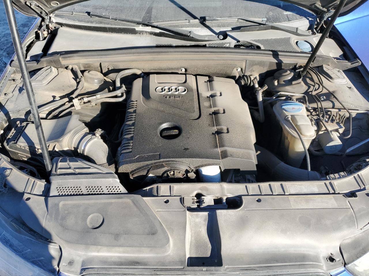 2014 Audi A4 Premium Plus VIN: WAUEFAFL0EN022213 Lot: 82697664