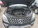 2014 Mercedes-Benz Ml 350 للبيع في Montgomery، AL - Rear End