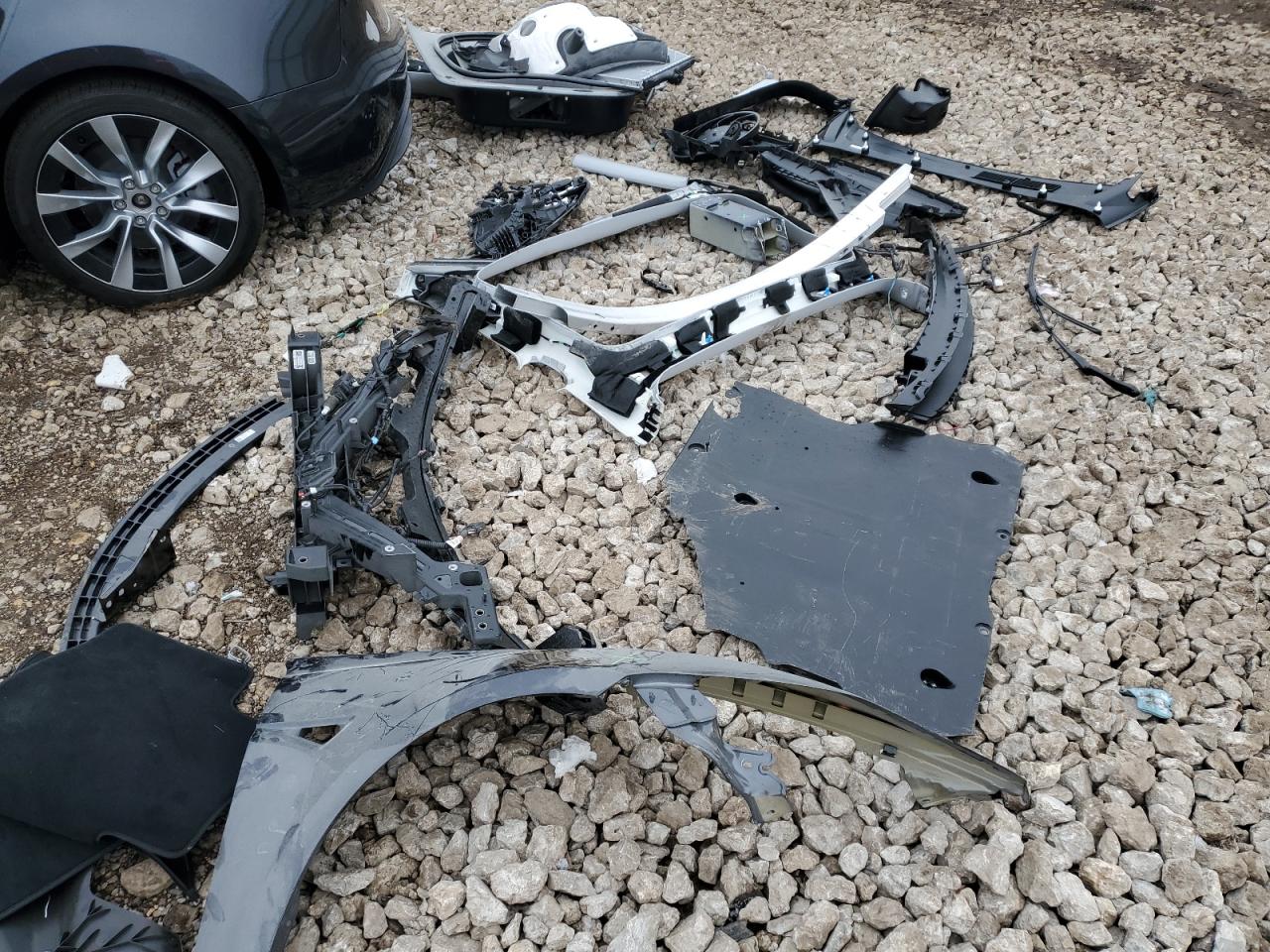 5YJ3E1EB0RF817479 Tesla Model 3 2024. Фото: 12