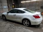 2009 Honda Accord Exl за продажба в Angola, NY - Undercarriage