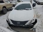 2012 Hyundai Sonata Gls للبيع في Indianapolis، IN - Rear End