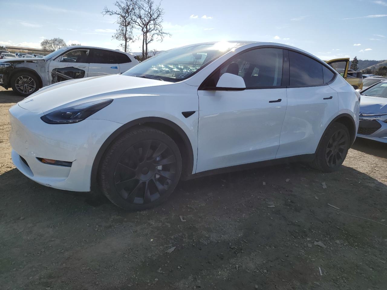 VIN 7SAYGAEE3RF043712 2024 TESLA MODEL Y no.1