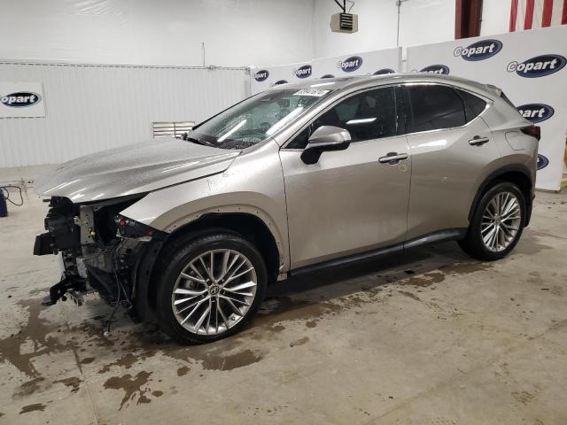  LEXUS NX 350H 2022 Szary