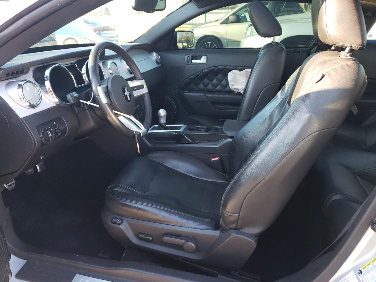 2009 Ford Mustang Gt VIN: 1ZVHT82H495123809 Lot: 85420694