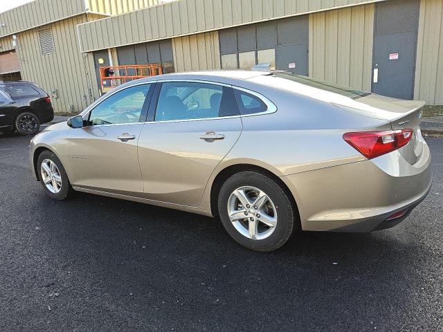  CHEVROLET MALIBU 2024 Beige