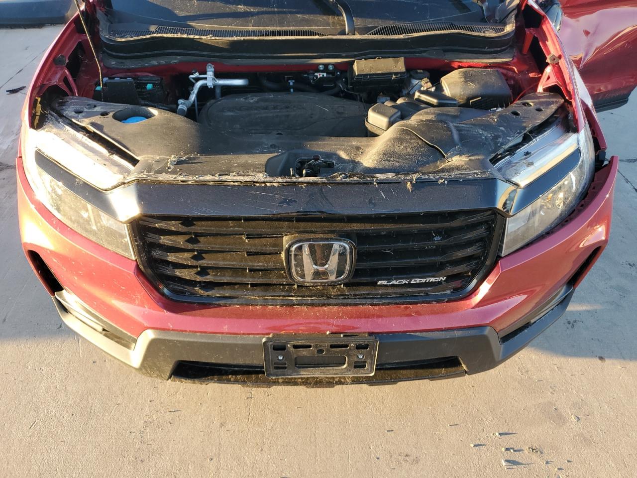 2024 Honda Passport - Image 11
