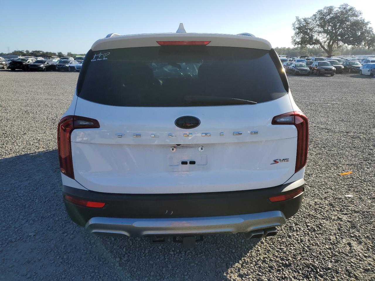 2021 Kia Telluride S VIN: 5XYP64HC7MG151629 Lot: 84491244