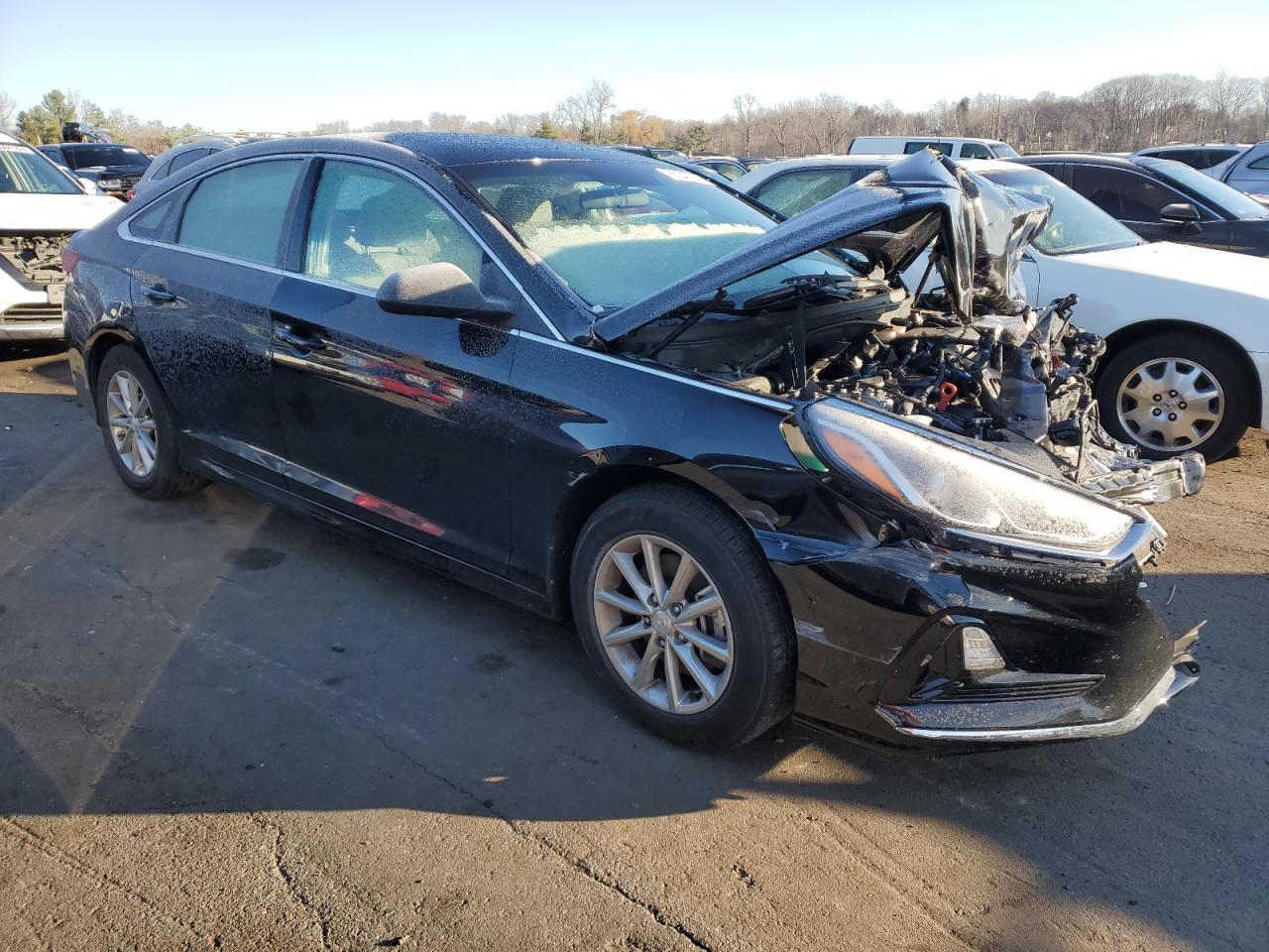 2019 Hyundai Sonata - Image 4
