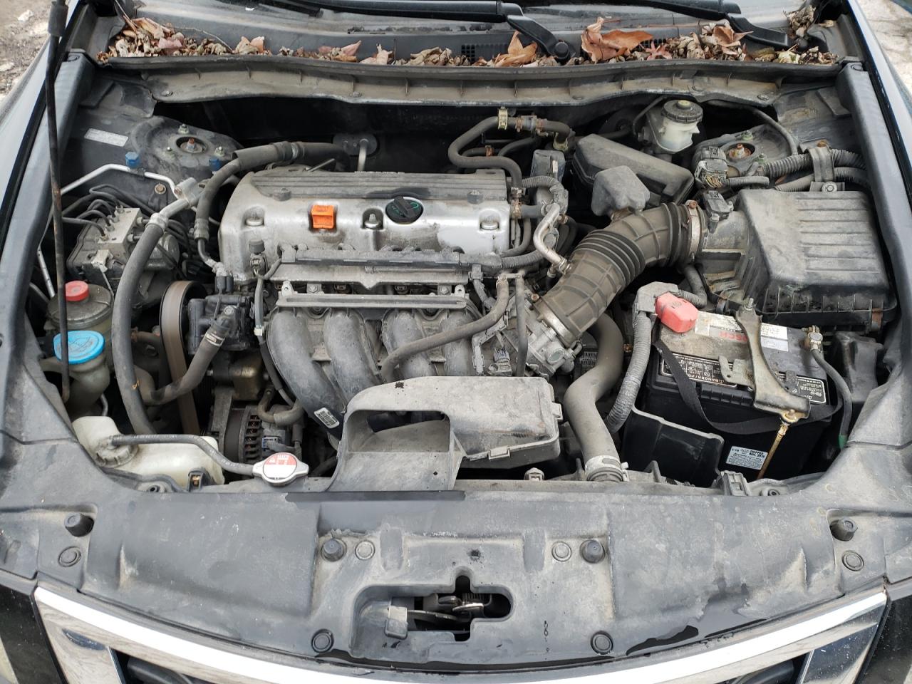 2010 Honda Accord Lxp VIN: 1HGCP2F43AA038267 Lot: 85707754