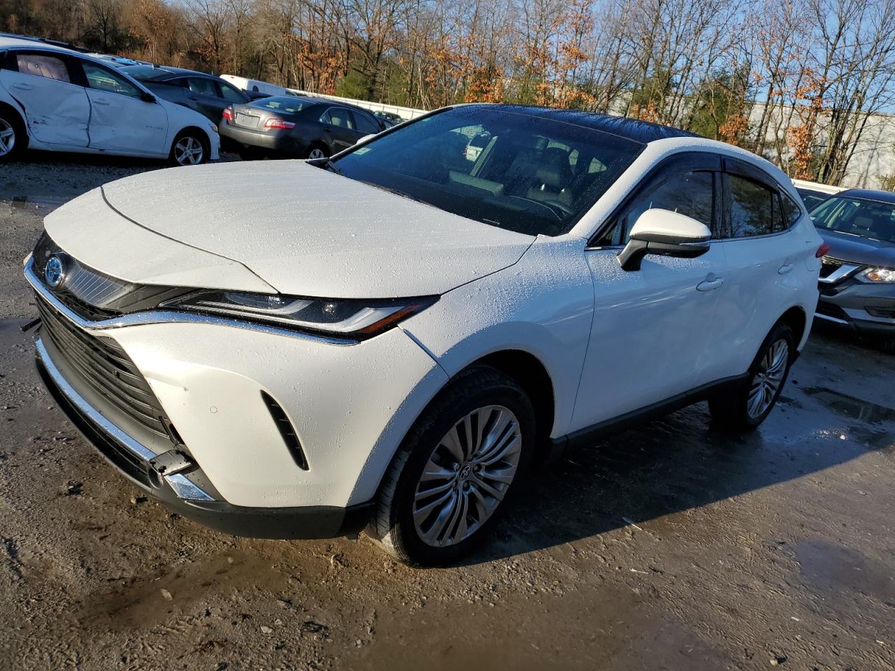 2023 Toyota Venza Le للبيع في North Billerica، MA - Water/Flood