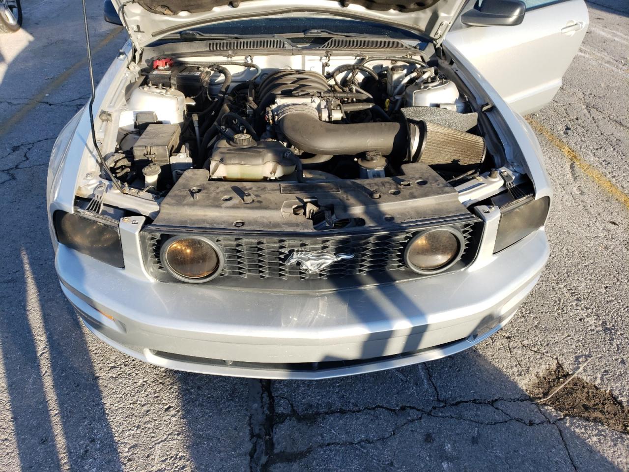 2009 Ford Mustang Gt VIN: 1ZVHT82H495123809 Lot: 85420694