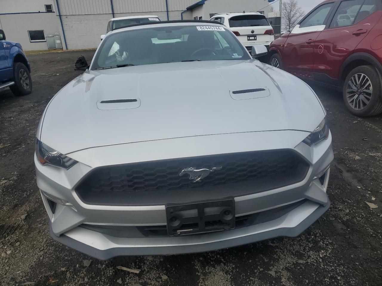 2019 Ford Mustang - Image 5