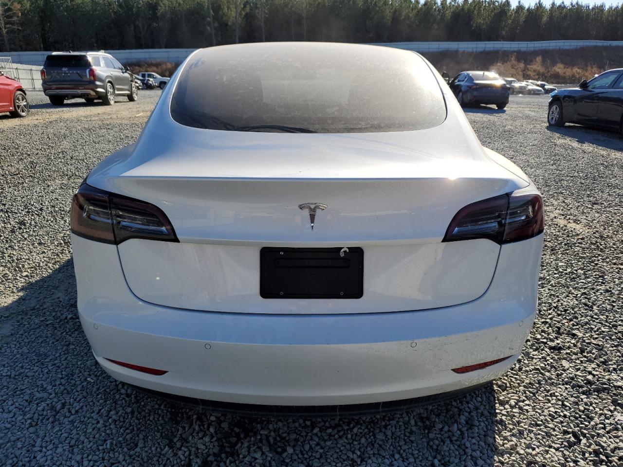 2020 Tesla Model 3 VIN: 5YJ3E1EA0LF597842 Lot: 62480115
