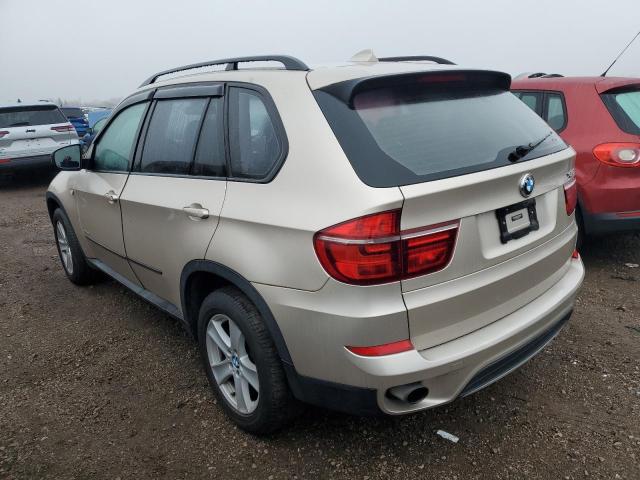 Паркетники BMW X5 2013 Золотий