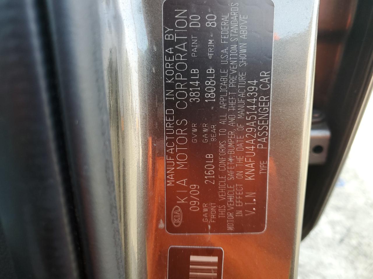 2010 Kia Forte Ex VIN: KNAFU4A29A5144394 Lot: 64204405