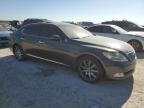 2008 Lexus Ls 460 на продаже в Haslet, TX - Minor Dent/Scratches