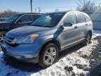 2010 Honda Cr-V Exl de vânzare în Hillsborough, NJ - Normal Wear