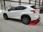 2018 Lexus Nx 300 Base en Venta en Lawrenceburg, KY - Rear End