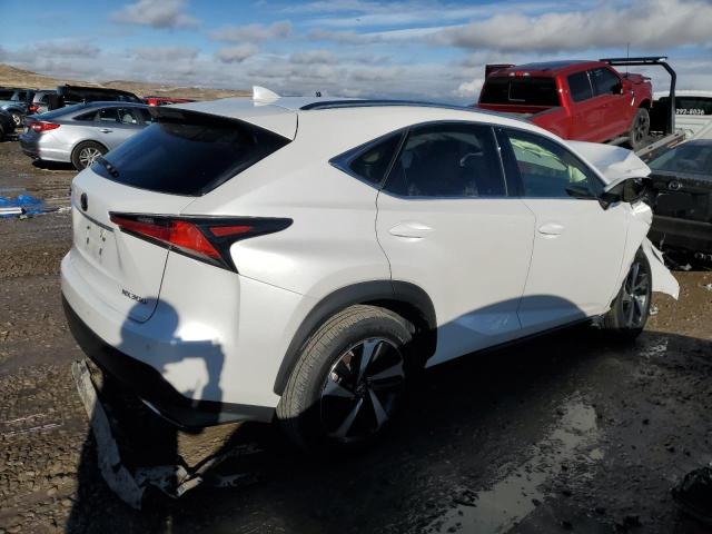  LEXUS NX 2020 Белы