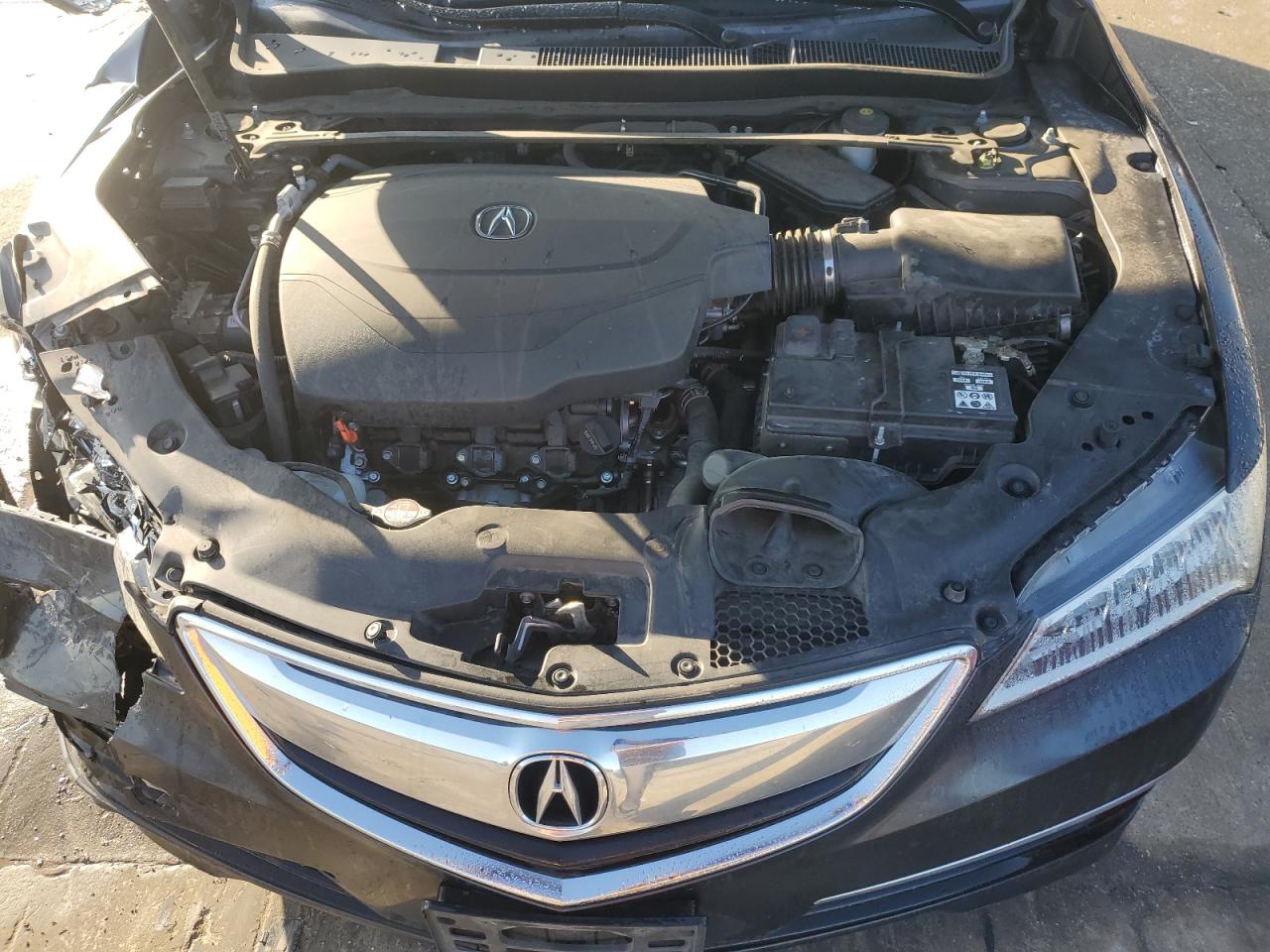 VIN 19UUB2F54FA024980 2015 ACURA TLX no.11