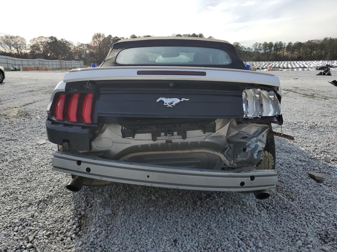 2019 Ford Mustang VIN: 1FATP8UH6K5138855 Lot: 84672204