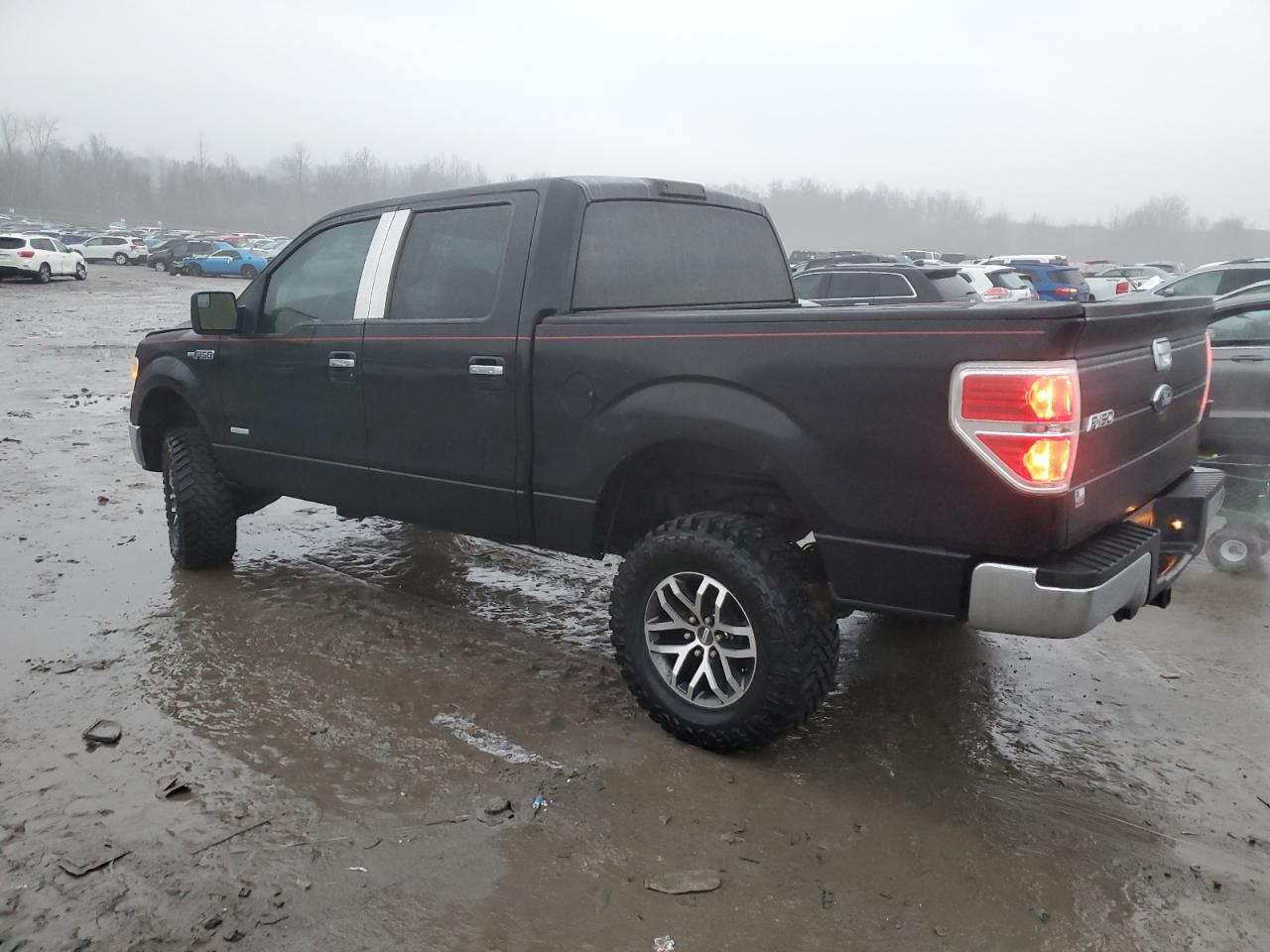 2011 Ford F-150 - Image 2