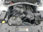 2013 Ford Mustang  for Sale in Cahokia Heights, IL - Side