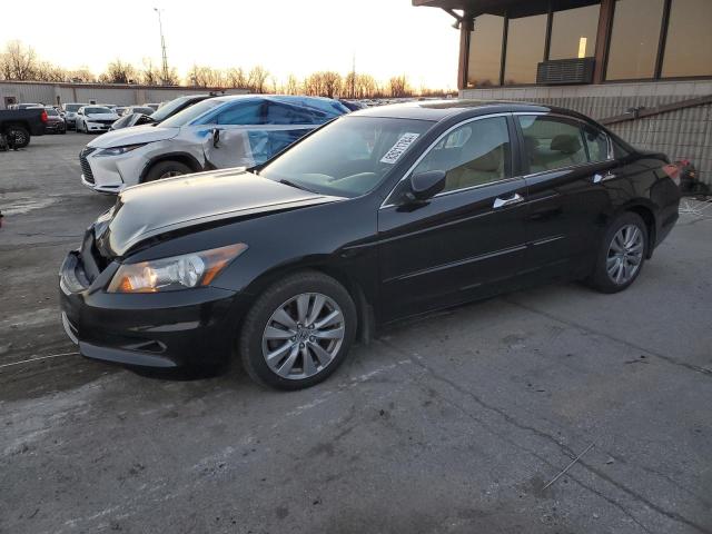 2011 Honda Accord Exl на продаже в Fort Wayne, IN - Front End