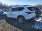 2023 Hyundai Santa Fe Sel продається в East Granby, CT - Side